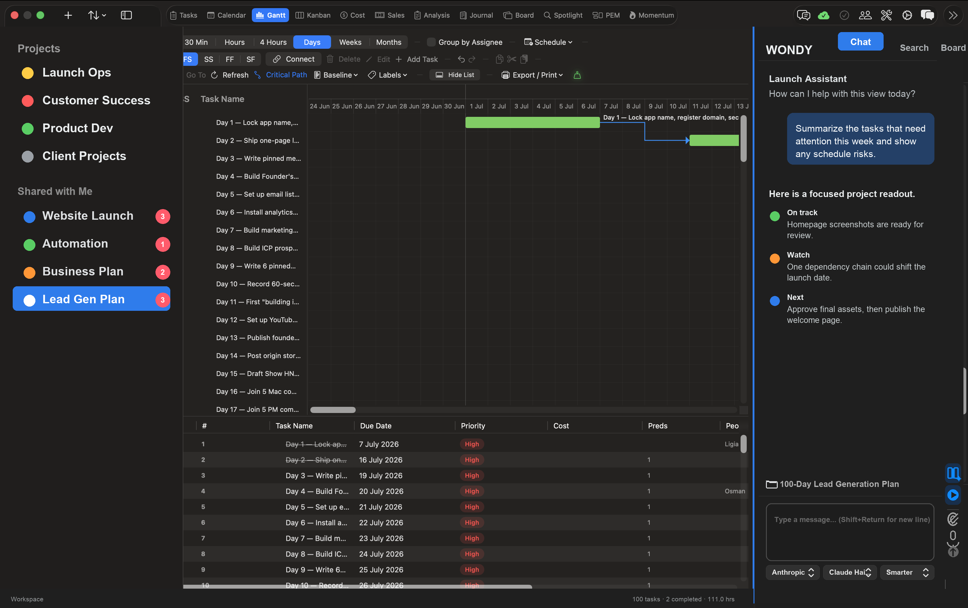 Vantage Plan Gantt view