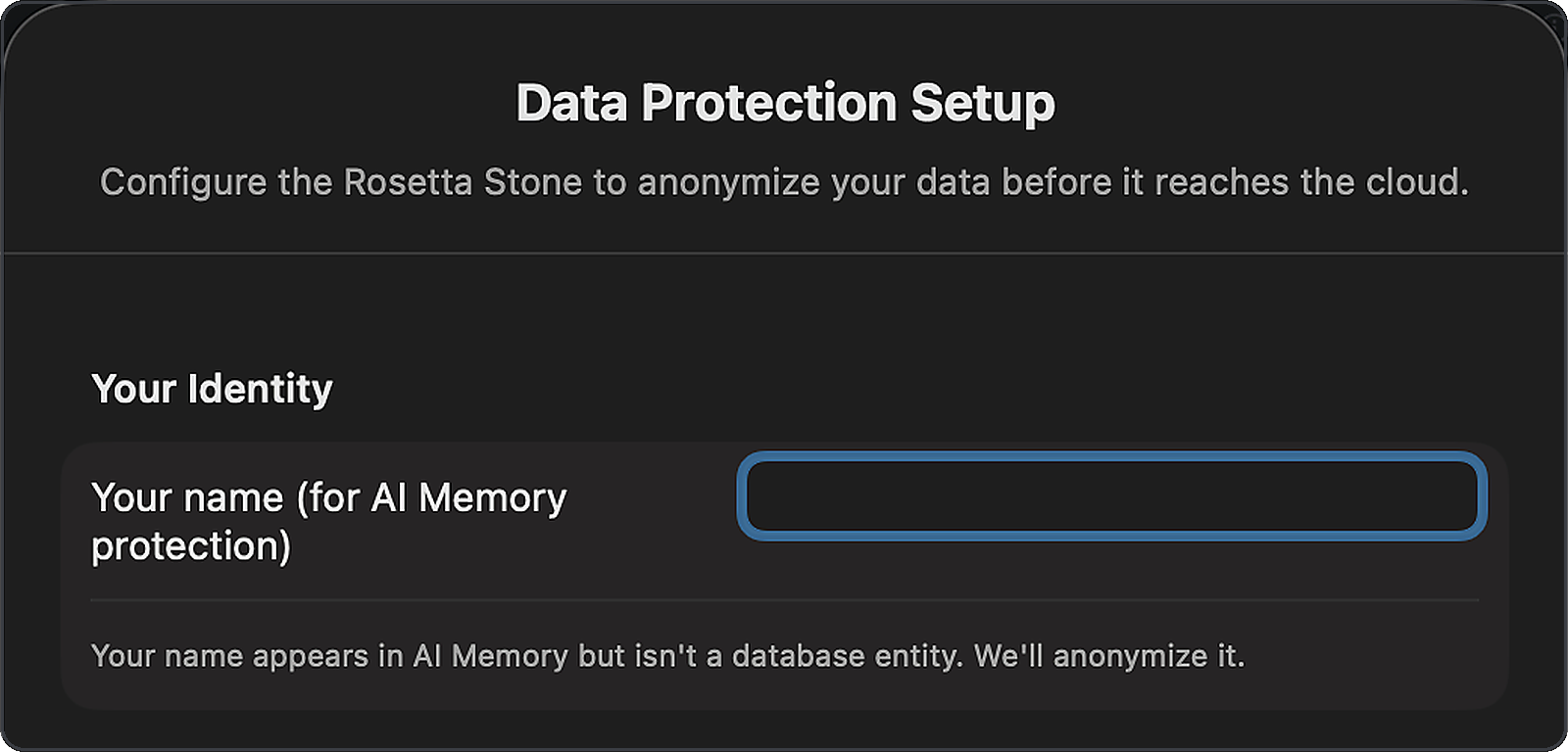 Vantage Plan Data Protection Setup — the Rosetta Stone anonymizes your data before it reaches the cloud